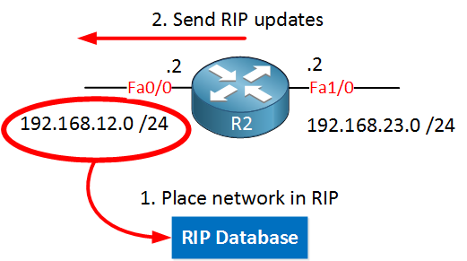 rip advertise one network