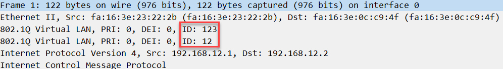 802 1q Tunneling Icmp
