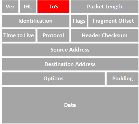 ToS byte in IP packet