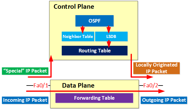 Data plane forwarding packets