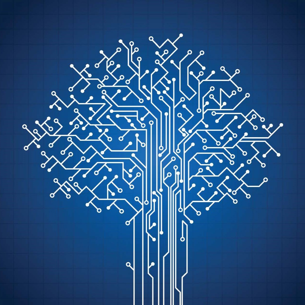 OSPF Incremental SPF