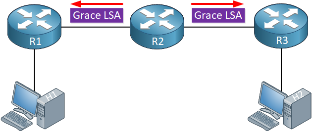 ospf graceful restart grace lsa