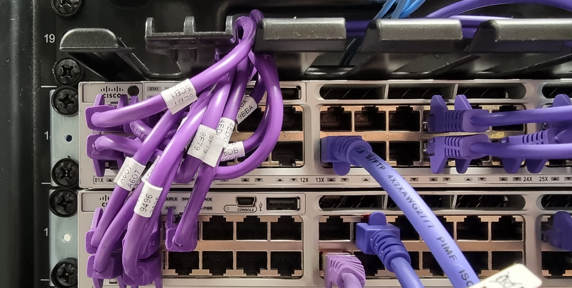Purple Utp Cables With Label Wrap