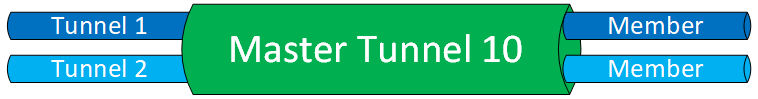 Mpls Te Cbts Master Member Tunnel Bundle